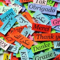 言語イマージョンの科学（自宅で実践する方法）