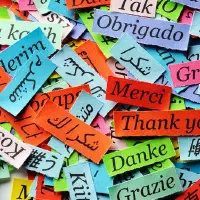 The Science of Language Immersion (At Home)