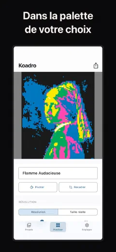 Koadro: Dans la palette de votre choix