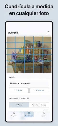 Overgrid: Cuadrícula a medida en cualquier foto
