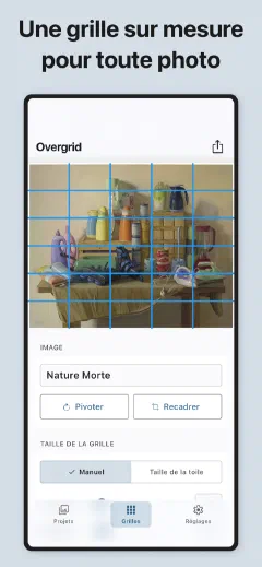 Overgrid: Une grille sur mesure pour toute photo