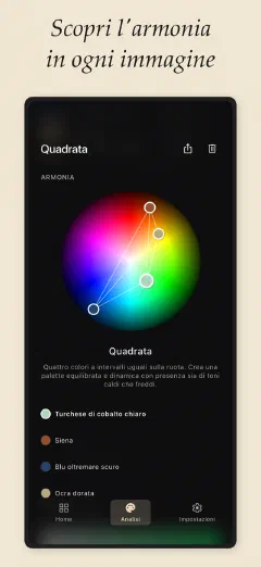 Undertone: Scopri l'armonia in ogni immagine