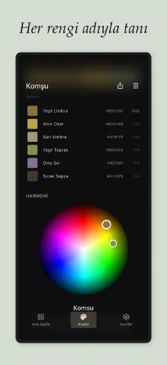Undertone: Her rengi adıyla tanı
